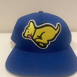 Ice cream Blue Cartoon Dog Hat